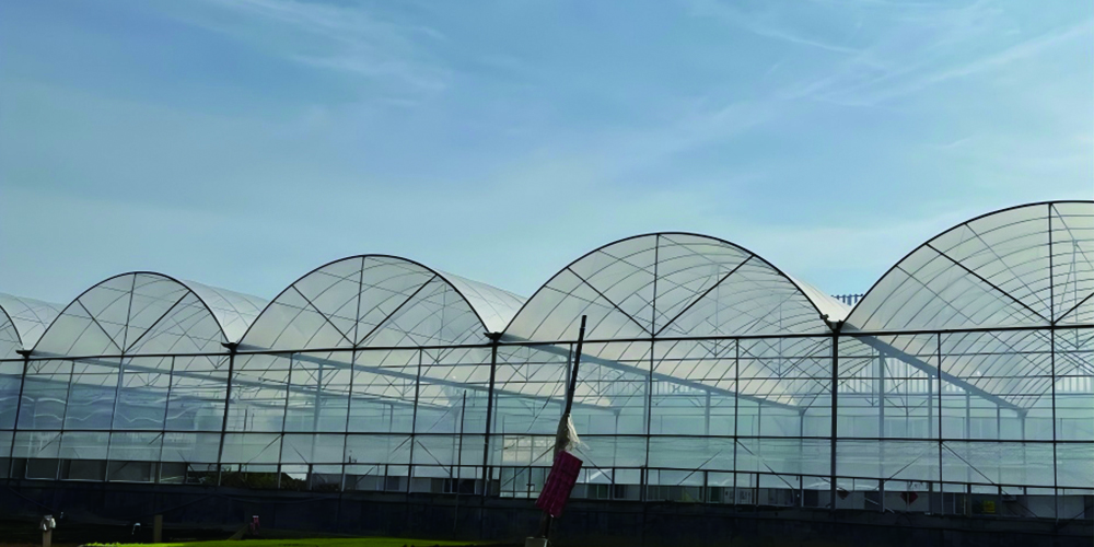 sustainable agriculture news